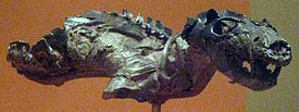 Thrinaxodon liorhinus