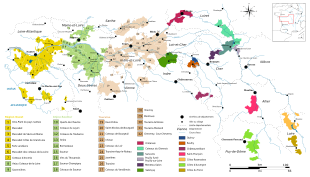 Vignobles de la vallée de la Loire.