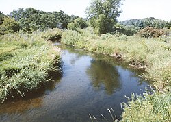 The Wing River for which the township is named, as pictured near Verndale