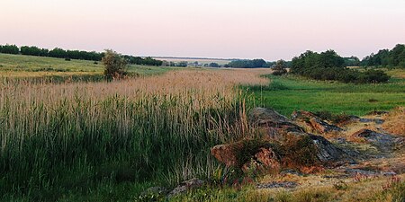 Біля західних кордонів заказника