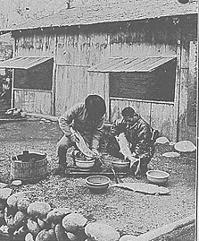 Pêche au saumon du Pacifique (Oncorhynchus keta) en 1909.