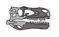 Appalachiosaurus