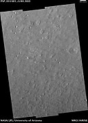 Surface texture of northern Arcadia Planitia at high resolution