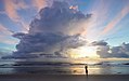 Eastward view of Canaveral National Seashore in Florida