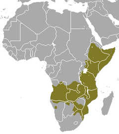 Mapa de distribuição