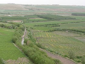 Image illustrative de l’article Viticulture en Turquie