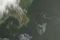 The Deepwater Horizon oil spill oil slick as seen from space by NASA's Terra satellite on May 1, 2010.
