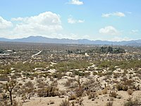 Southwesterly view of the Joshua Tree Retreat Center