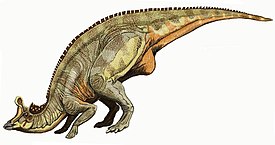 Реконструкция ламбеозавра (Lambeosaurus)