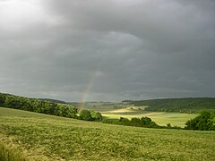 Un arc-en-ciel au-dessus du bois.