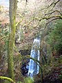 The Falls from the surrounding woodlands