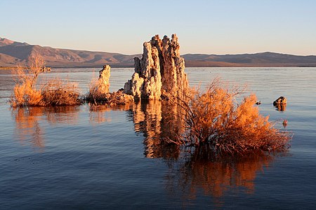 Mono Lake at Soda lake, by Mila Zinkova