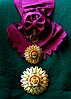 Order of the Sun, awarded by Republic of Peru
