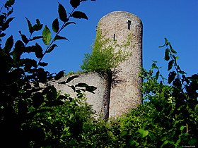 Image illustrative de l’article Château de Sausenburg