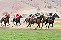 Image 12 Horse racing Credit: Fir0002 Horses race on grass at the 2006 Tambo Valley Races in Swifts Creek, Victoria, Australia. Horseracing is the third most popular spectator sport in Australia, behind Australian rules football and rugby league, with almost 2 million admissions to the 379 racecourses throughout Australia in 2002–03. More selected pictures