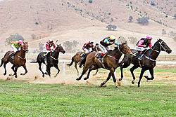 The annual Tambo Valley Races, 2006