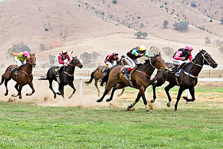 Picnic horse racing, by Fir0002