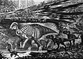 Teratophoneus and Parasaurolophus