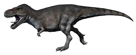 Tyrannosaurus, a large theropod dinosaur of the Cretaceous, reconstruction