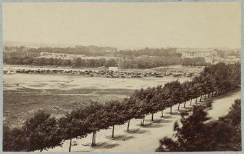 View the National Mall with its livestock and the Treasury Building in the background in April 1865.