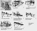 Questo studio di Yarbus (1967) viene spesso citato come prova di come il compito affidato a una persona influenzi il suo movimento oculare.