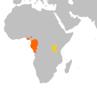 Área de distribución dos gorilas. En cor laranxa o Gorilla gorilla e en cor amarela o Gorilla beringei.