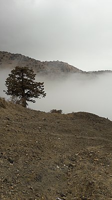 На территории заповедника