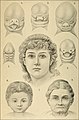 رسمة تصور تطور الوجه البشري، من قبل هيجل