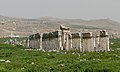 Image 9The "Great Colonnade" marks the cardo maximus of Apamea, Syria. (from History of cities)