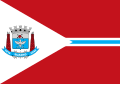 Bandeira de Suzano