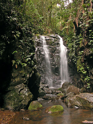 Box Log Falls i Lamington nationalpark.