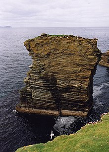 View of a rocky pinnacle standing in the sea, with many seabirds on and around it