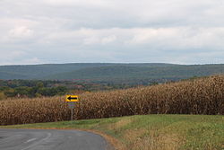 Catawissa Mountain in Roaring Creek Township