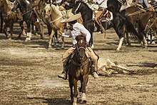 Charro a cavallo