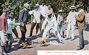 Combat de coqs à Cuba (vers 1908)