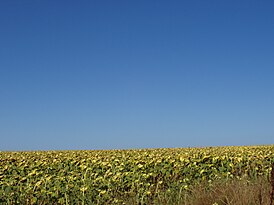 Пейзаж в Добрудже, Болгария