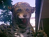 A jaguar statue in Rio de Janeiro's Zoological Garden