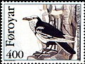 FR 276: Pied raven (Corvus corax varius morpha leucophaeus)