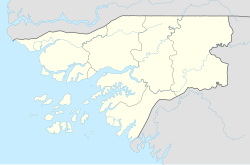 비사우는 기니비사우의 수도이자 최대 도시이다