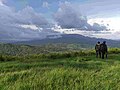 Chappal Wadi, the second-highest point in sub-saharan West Africa after Mount Cameroon and Emi Koussi