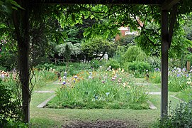 Le Jardin des iris et des plantes vivaces.