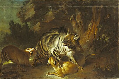 Hyena in the Fight with two Dogs (1739), 130 x 190 cm., Ludwigslust Palace