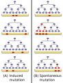 Diagram illustrating the Luria-Delbrück experiment, suggested by ragesoss.