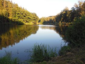 Moulin de Saint-Louis-lès-Bitche