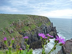 Morgan Bay cliffs