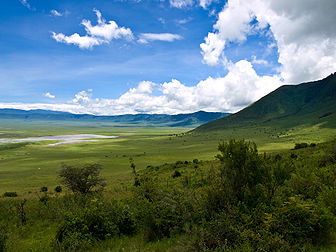 Le cratère du Ngorongoro à la saison des pluies, classé au sein de la zone de conservation du Ngorongoro (Tanzanie). (définition réelle 3 648 × 2 736*)