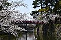 Okazaki Flower Festival