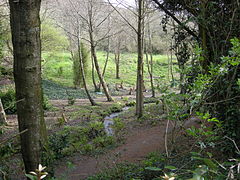 Jardin en hommage à Jacques Prévert.