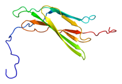 PDB rendering based on 2dbj.