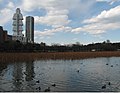 Shinobazu Pool in Ueno Park